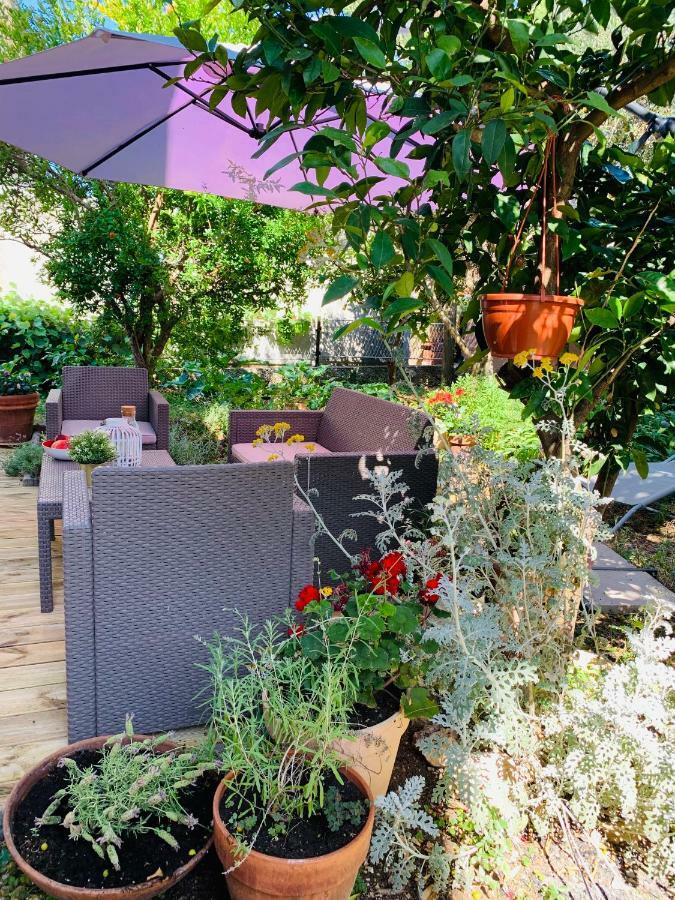טרוגיר Apartment Ivica מראה חיצוני תמונה